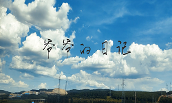 爷爷的日记