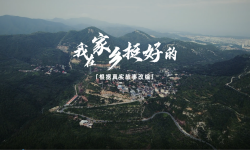 《我在家乡挺好的》