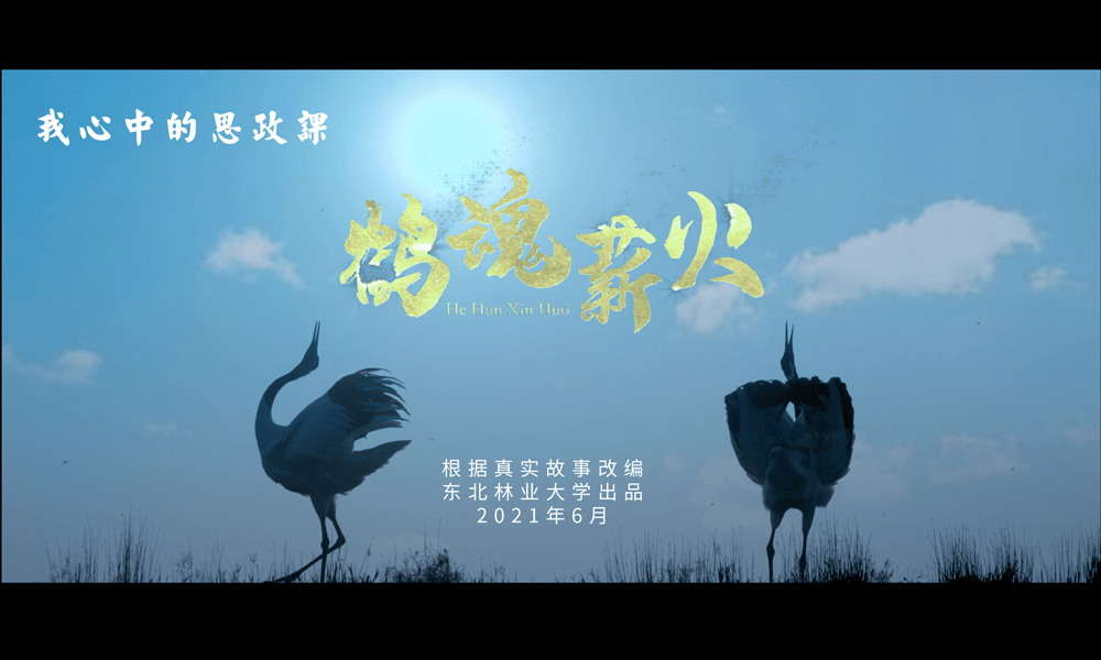 鹤魂薪火