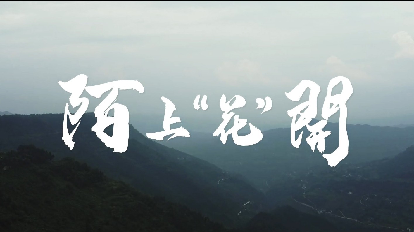 陌上花开