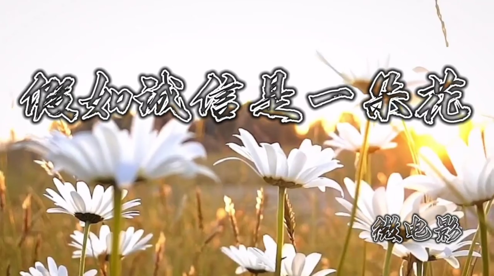 《假如诚信是一朵花》