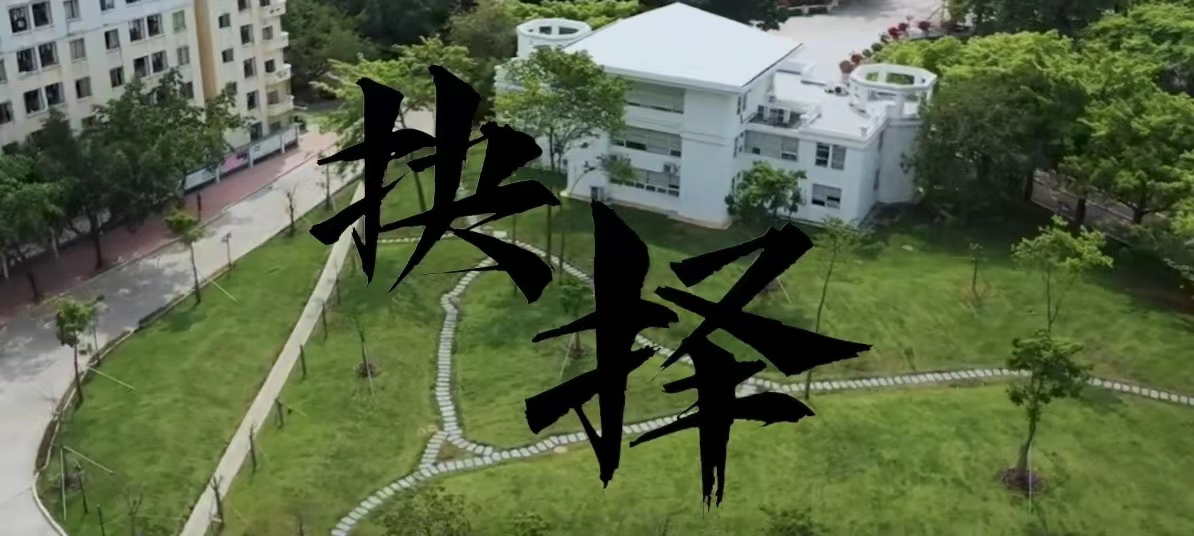 抉择
