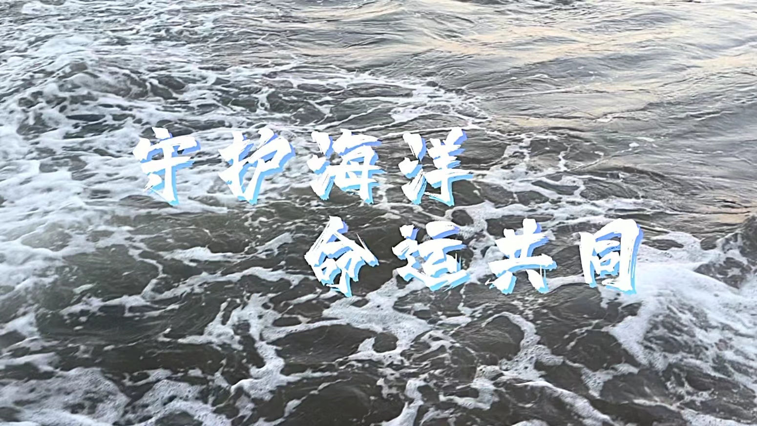 守护海洋，命运共同