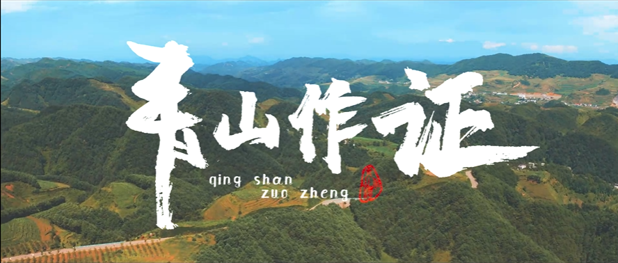 青山作证