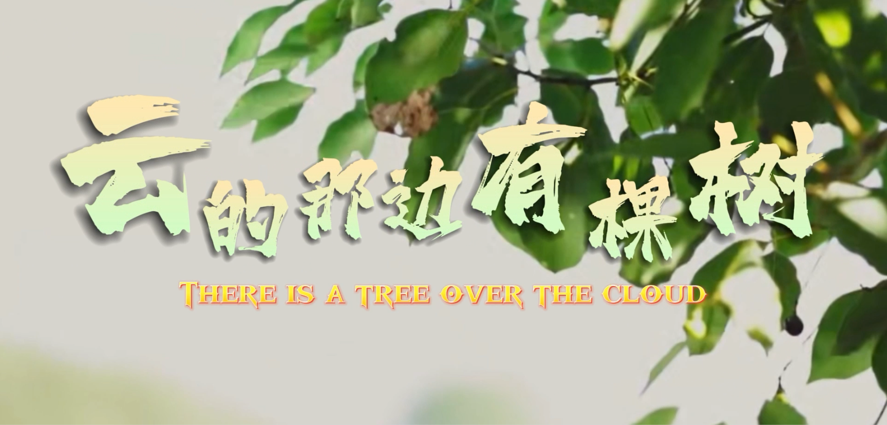 云的那边有棵树