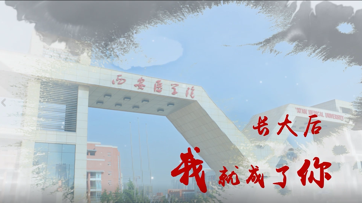 长大后我就成了你