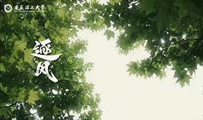 逐风