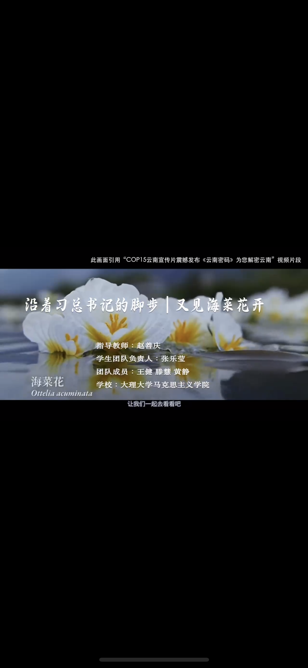 沿着习近平总书记的脚步|又见海菜花开