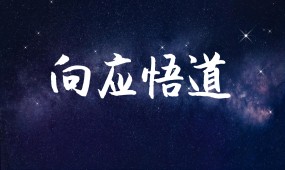 向应悟道