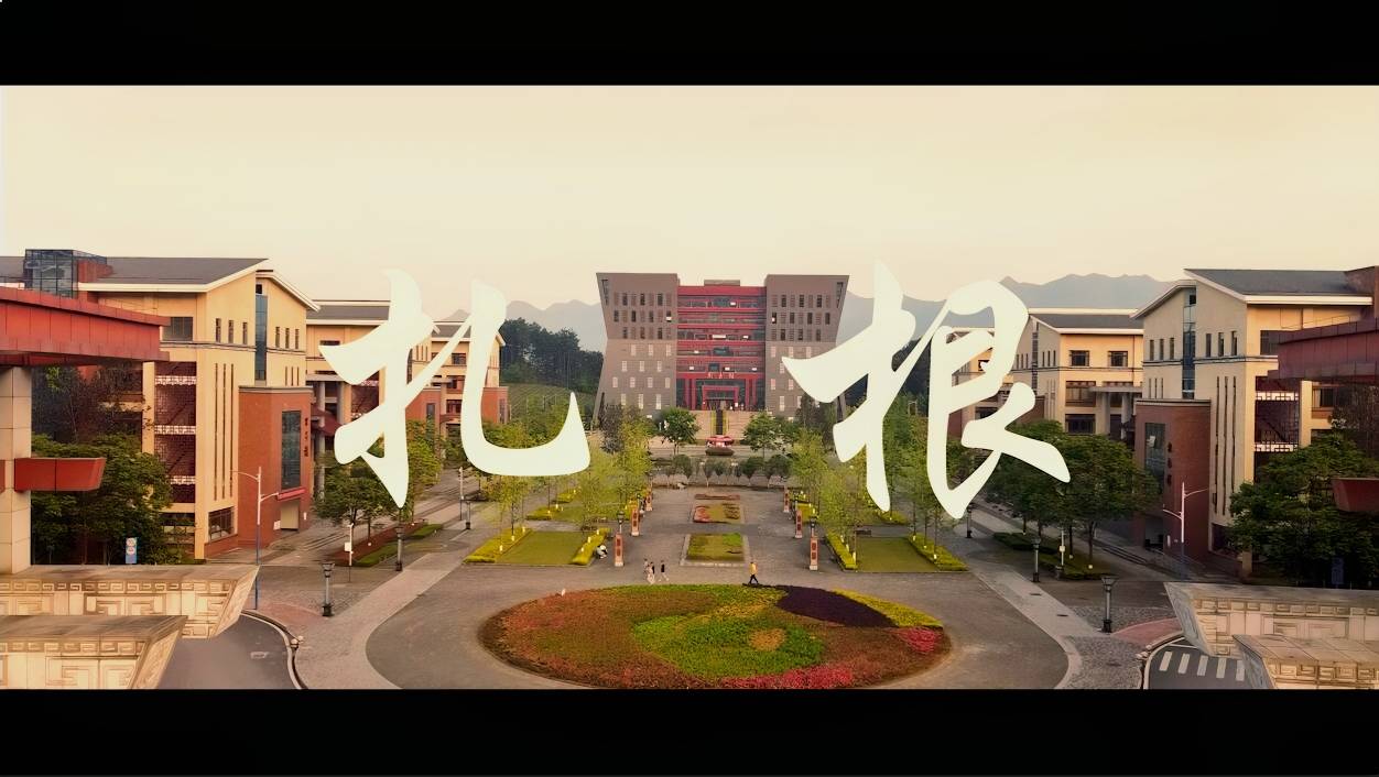 扎根
