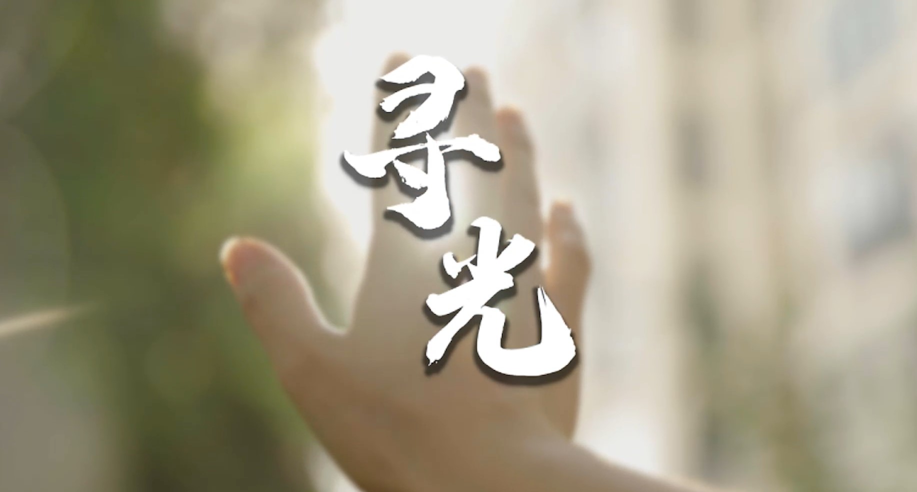 寻光