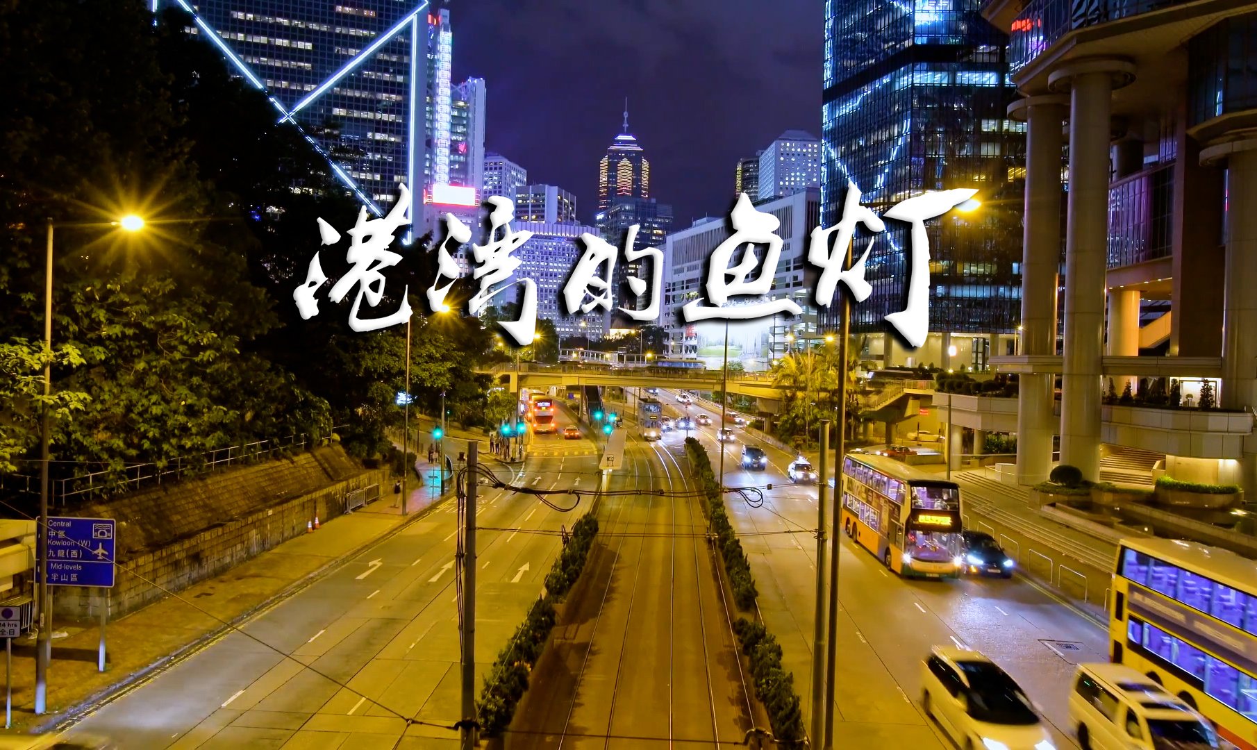 港湾的鱼灯