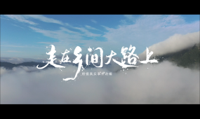 走在乡间大路上