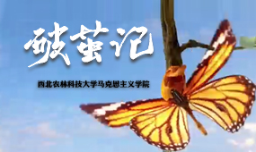 破茧记