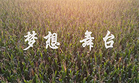 梦想  舞台