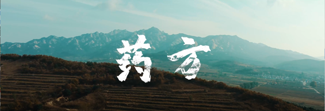 药方
