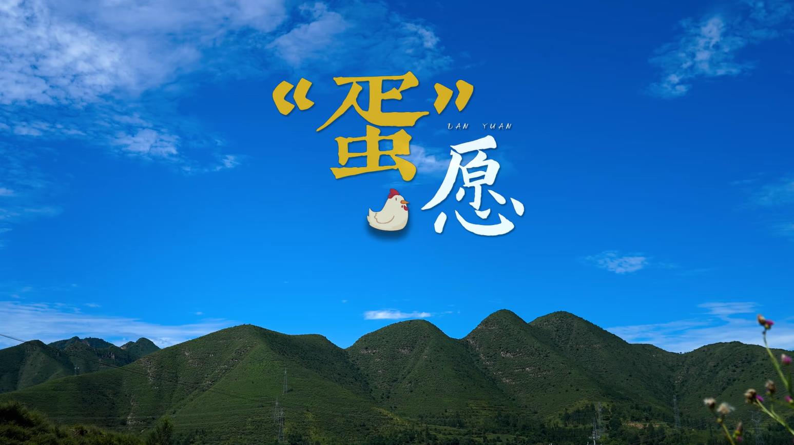 蛋愿